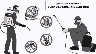 Quick Tips for Home Pest Control in Delhi NCR