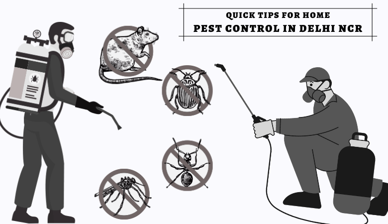 Quick Tips for Home Pest Control in Delhi NCR