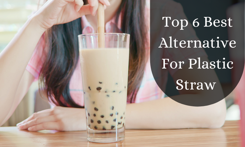 Top 6 Best Alternative For Plastic Straw