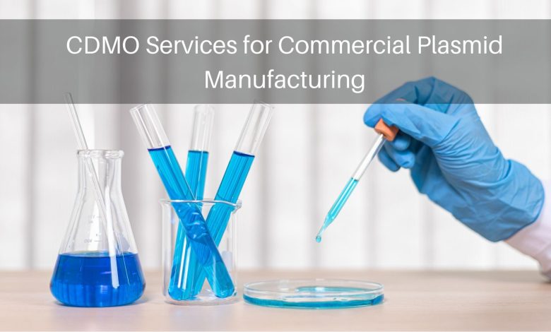 CDMO Services for Commercial Plasmid Manufacturing