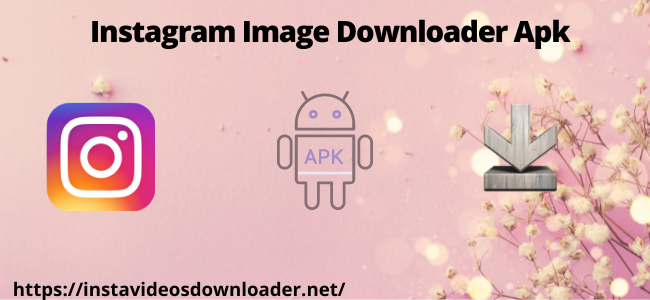 Instagram Video Download Online | instavideosdownloader online