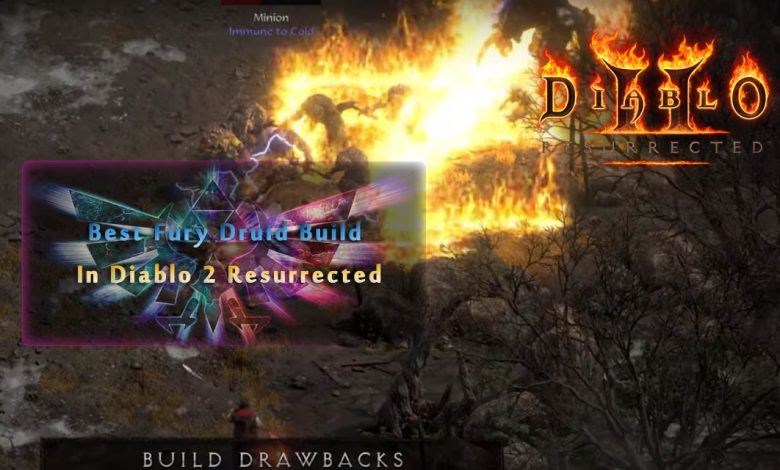 Best Fury Druid Build In Diablo 2 Resurrected