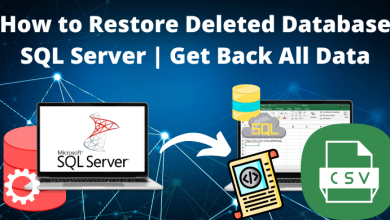 How to Restore Deleted Database SQL Server