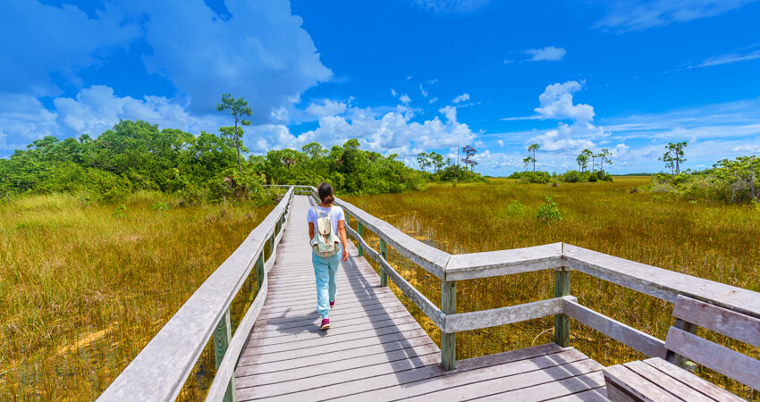 everglades-national-park