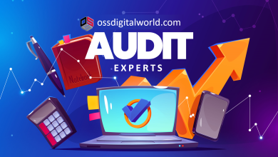 Free SEO Audit