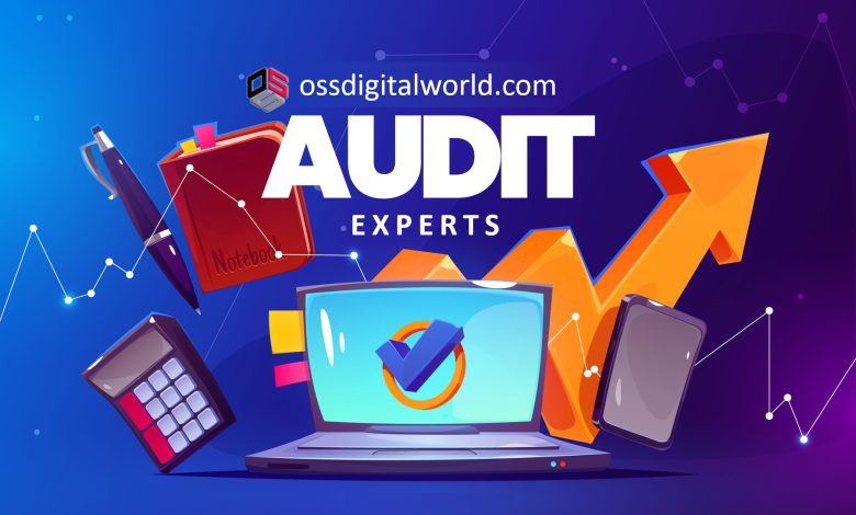 Free SEO Audit