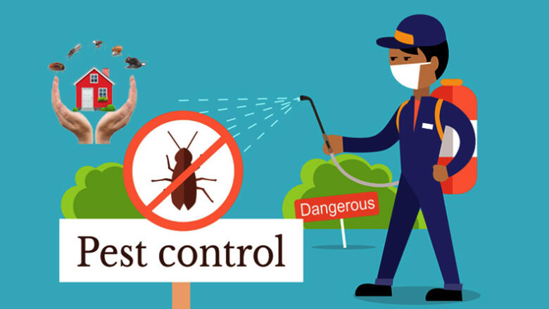 Pest Control company in Dubai