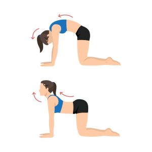 7 yoga asanas that can help keep the heart healthy