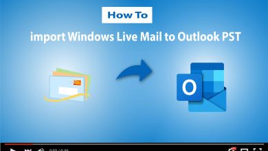 convert windows live mail emails to pst